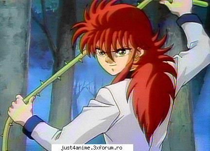 Yoko Kurama /Suicchi Minamino - Hakusho - Yu Yu Hakusho